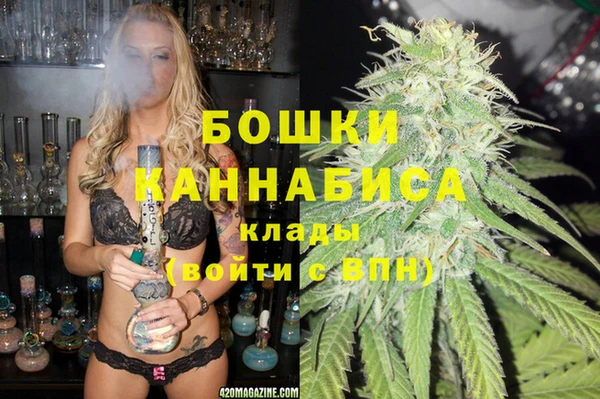PSILOCYBIN Зуевка