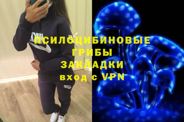 твердый Сосновка