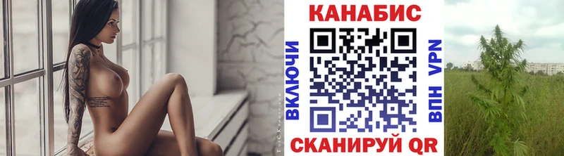 купить наркотики цена  Холм  Канабис гибрид 